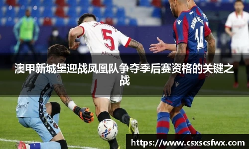 澳甲新城堡迎战凤凰队争夺季后赛资格的关键之战