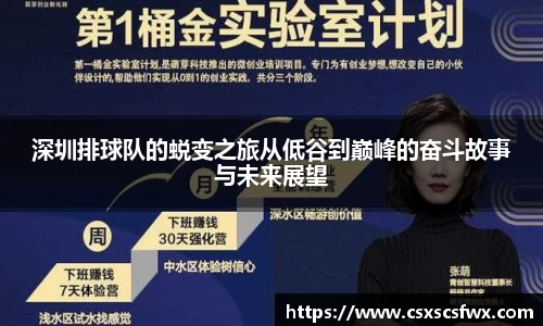 深圳排球队的蜕变之旅从低谷到巅峰的奋斗故事与未来展望