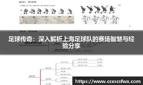 足球传奇：深入解析上海足球队的赛场智慧与经验分享